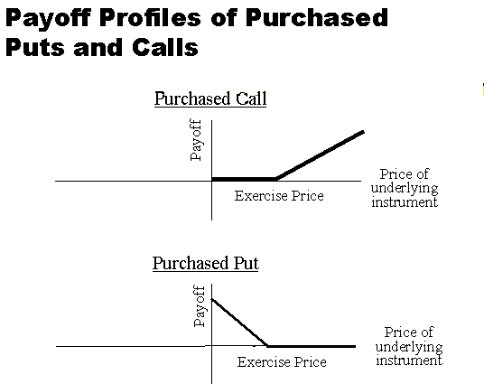Slide6.gif (5475 bytes)